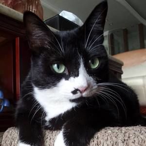 Meet your Posher, Aigen